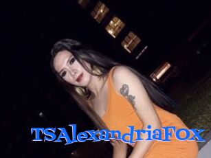 TSAlexandriaFOX