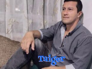 Taiger