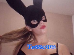 Tesscam