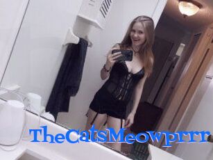 TheCatsMeowprrr