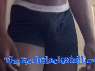 TheRealBlackStallion1