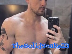 TheSolidSnake23