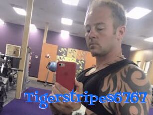 Tigerstripes6767