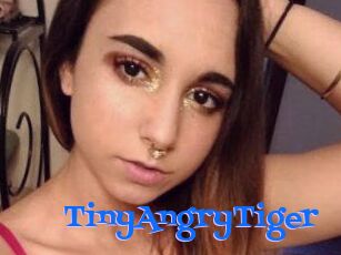 TinyAngryTiger
