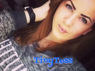 TinyTess