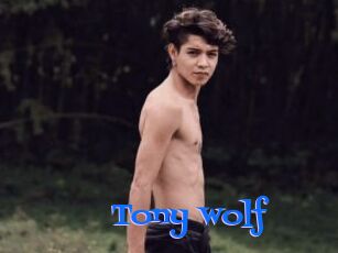 Tony_wolf