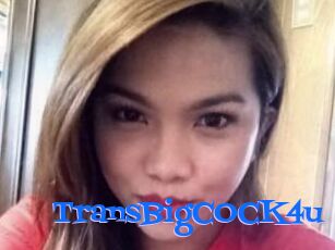 TransBigCOCK4u