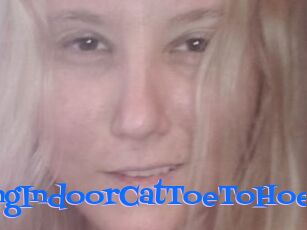 TravellingIndoorCatToeToHoe