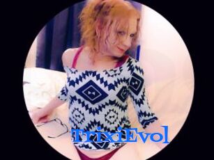 TrixiEvol