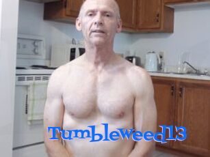 Tumbleweed13