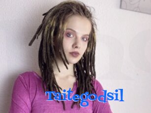 Taitegodsil