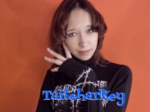 Taiteharkey