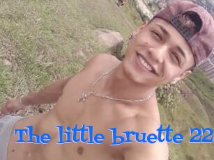 The_little_bruette_228