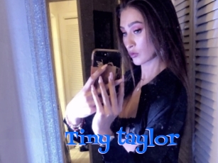 Tiny_taylor