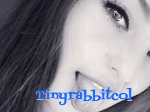 Tinyrabbitcol