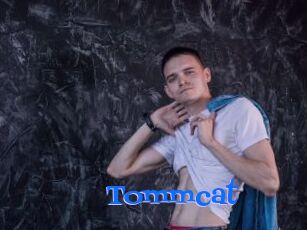 Tommcat