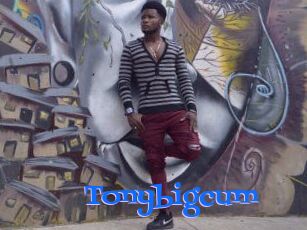 Tonybigcum