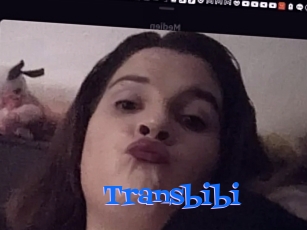 Transbibi