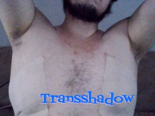 Transshadow