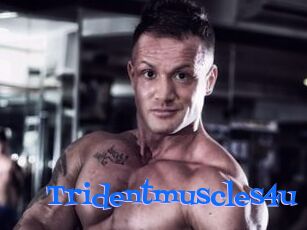 Tridentmuscles4u