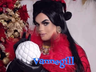 vannegill Photos 2 X