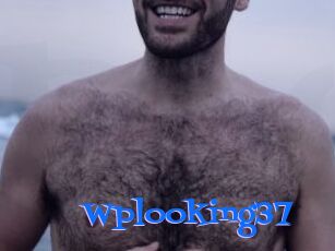 Wplooking37