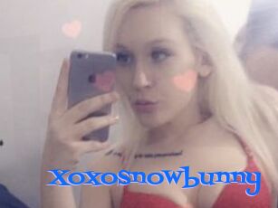 Xoxosnowbunny