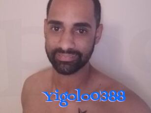 Yigolo0388